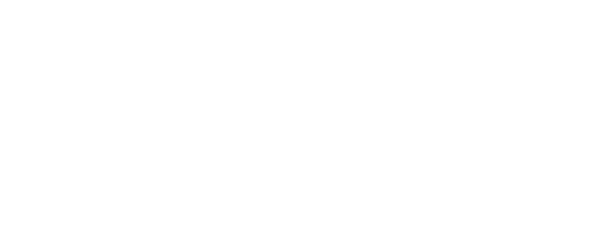 Fishegro International